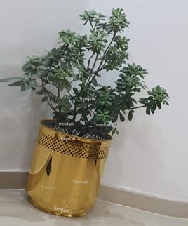 golden-flower-pot