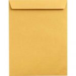 brown envelope