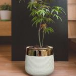 fiberglass-planter-with-golden-neck