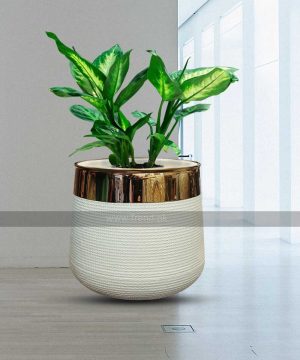 white fiberglass plant pot with golden neck