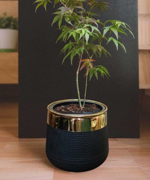 black fiberglass planter with golden neck