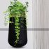 fiberglass-vase-large-black-with-golden-neck-ring-and-plant