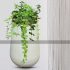 fiberglass-vase-large-white-with-golden-neck-ring-and-plant