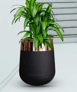 black floor vase fiberglass with golden neck
