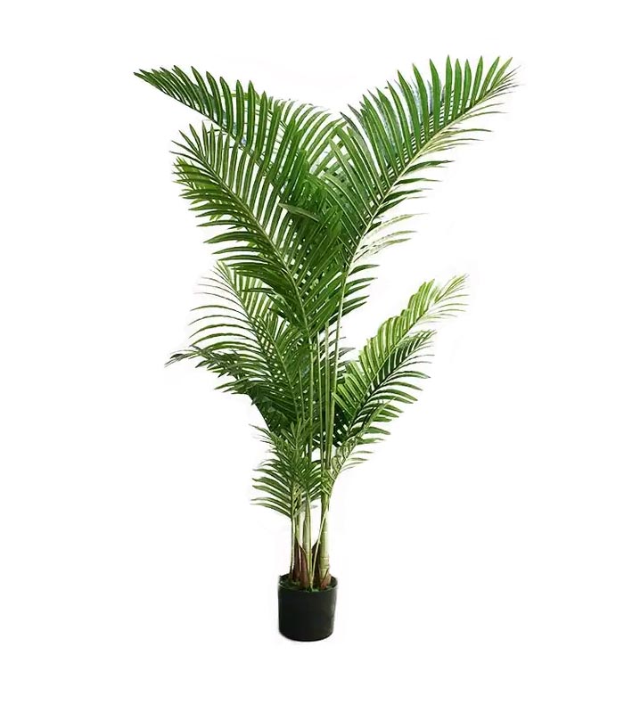 artificial plant, palm tree