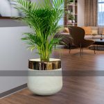 white fiberglass planter with golden neck
