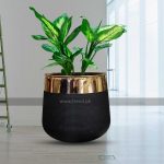 black fiberglass planter with golden neck
