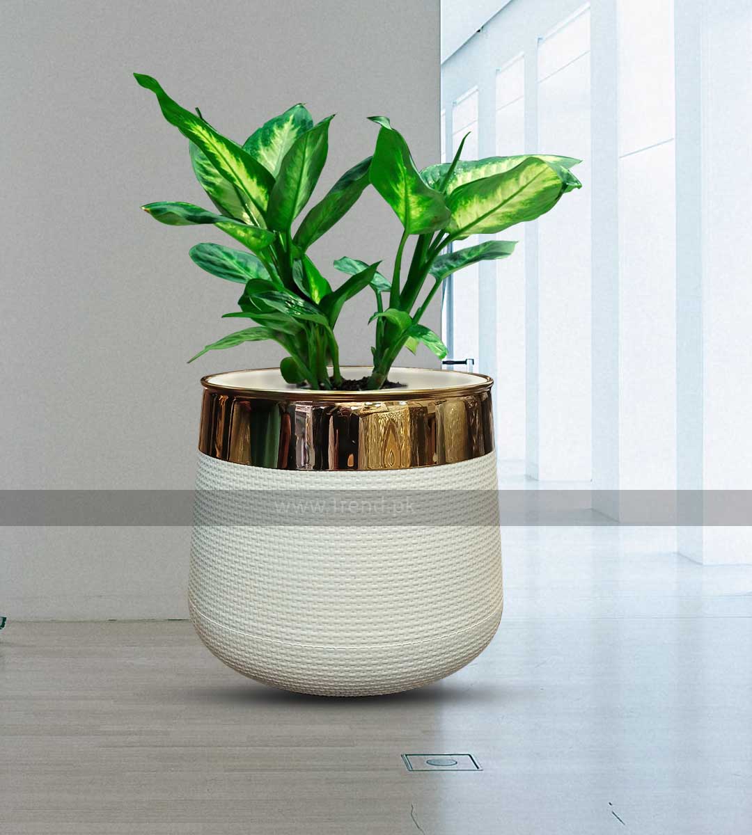 white fiberglass plant pot with golden neck