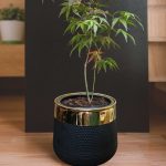 black fiberglass planter with golden neck