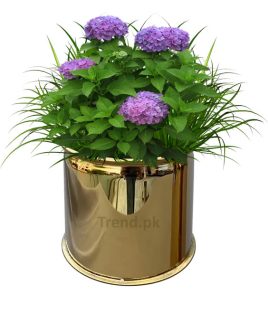 golden flower flower pots