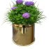 golden-flower-pot-table-planter-gold-plated-stainless-steel