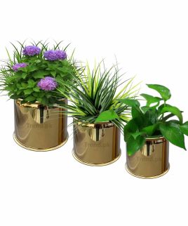 golden flower pots