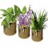 golden-plant-pot-table-planter-gold-plated-stainless-steel