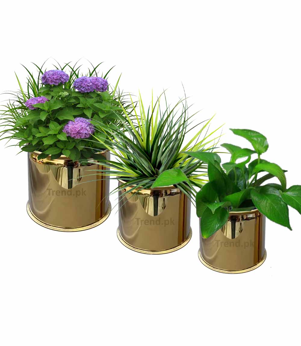 golden flower pots
