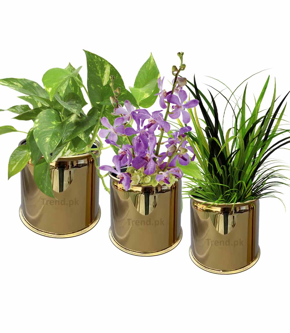 golden table flower pot